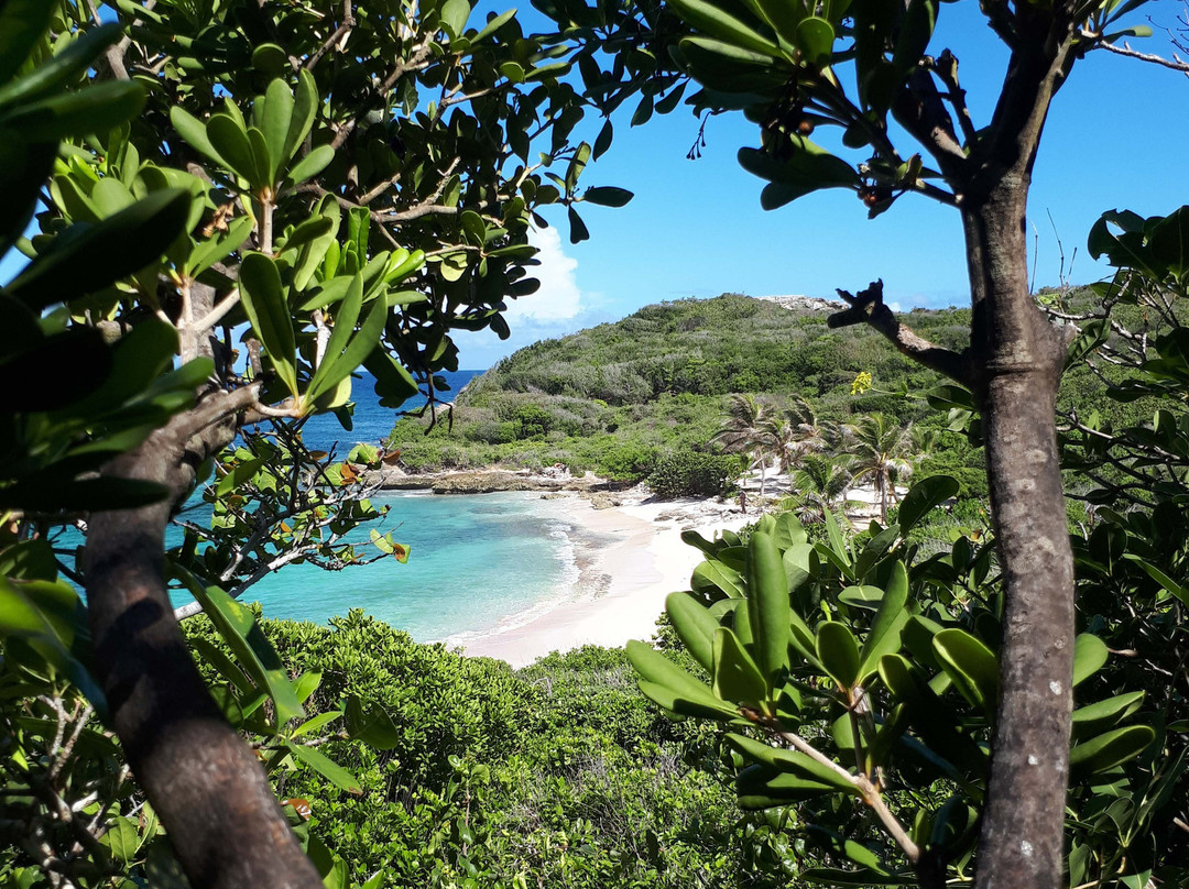 Anse Tarare-Saint Francois必去景点