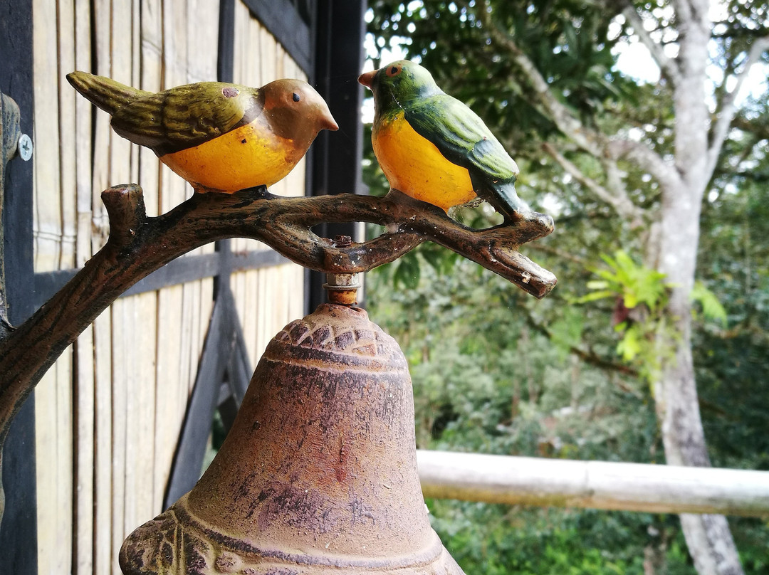 Borneo Orchard House主图