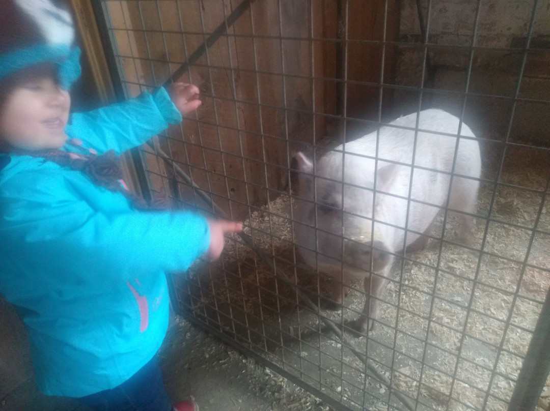 Verger La Magie De La Pomme-Saint-Eustache必去景点