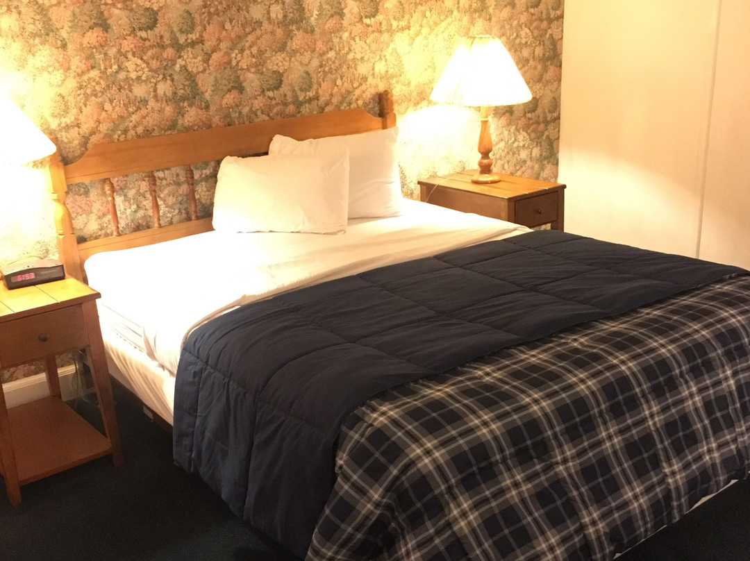 Arcady Mountain Motor Lodge主图