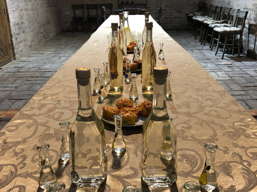 Podrum Miljevic主图