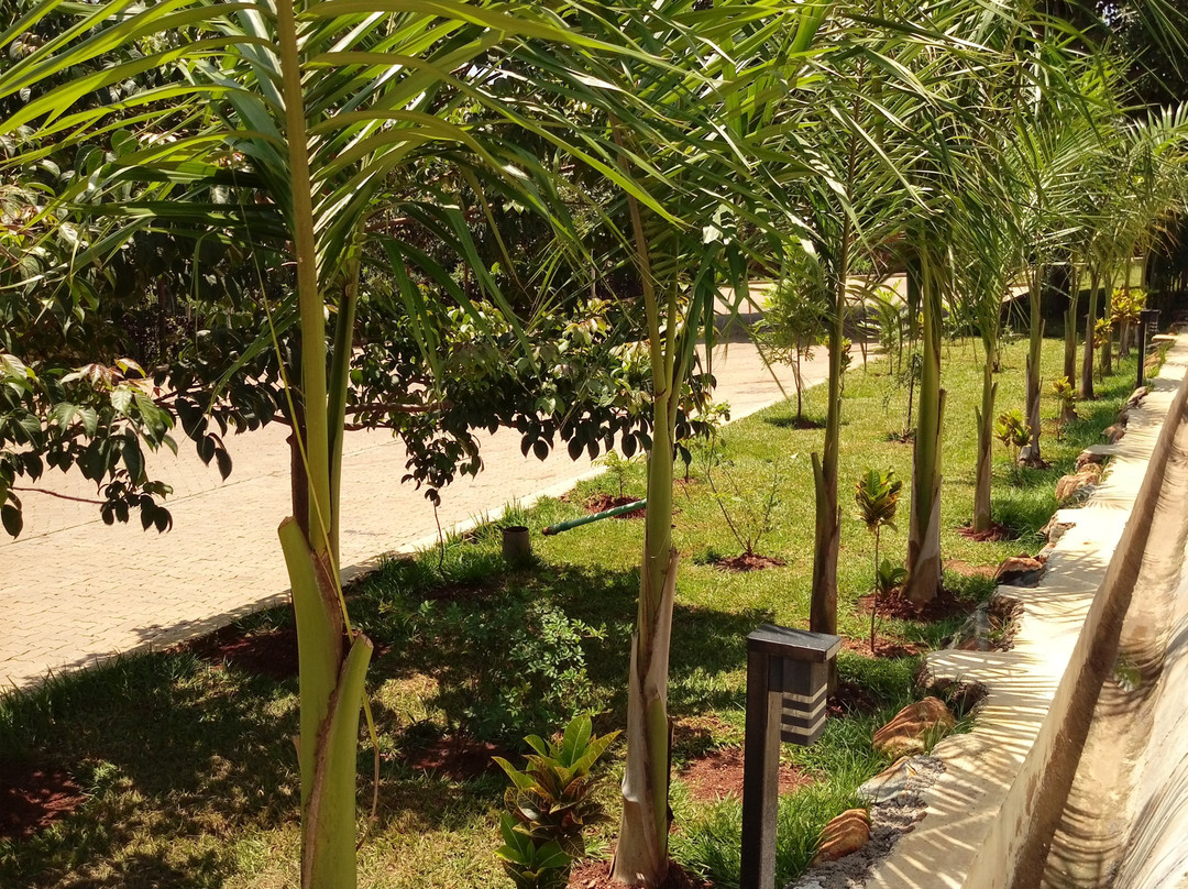 Grand Royal Swiss Hotel主图