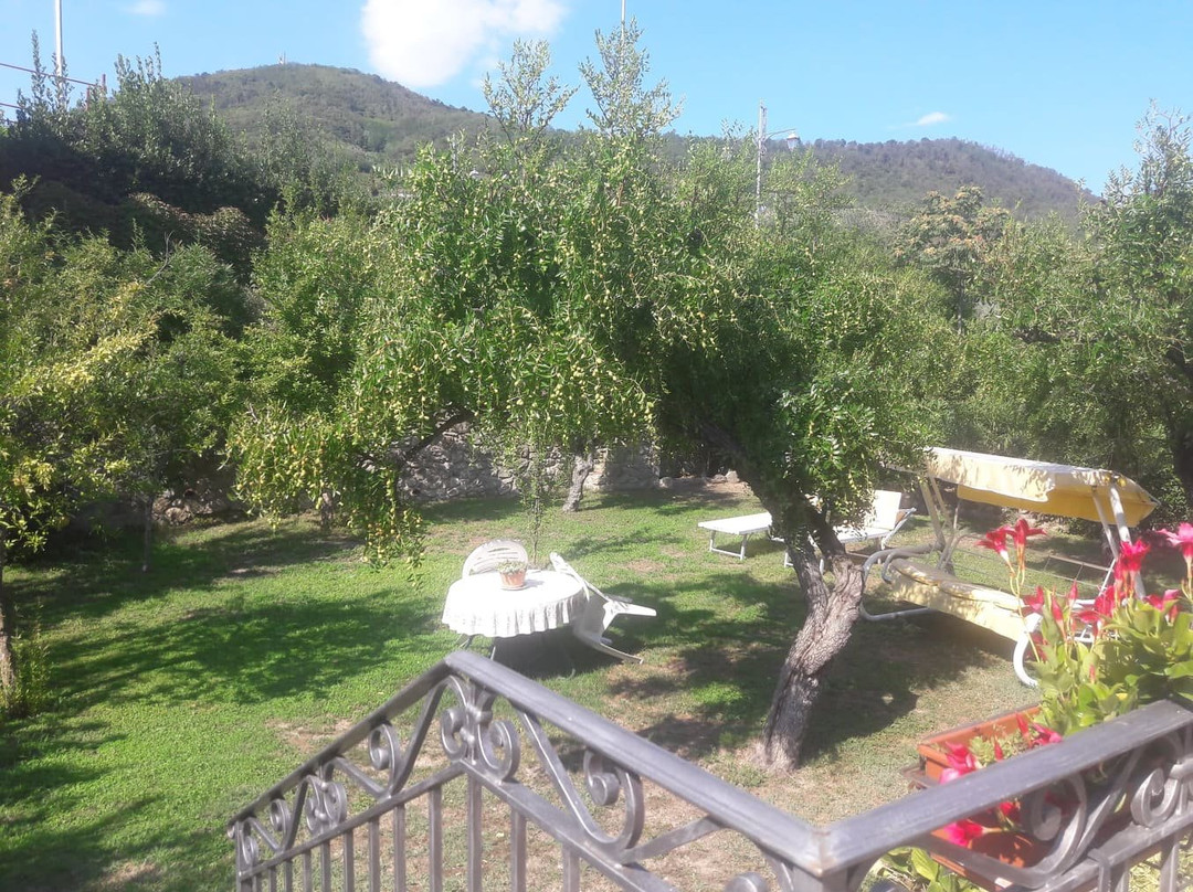 Al Borgo di Arquà Petrarca主图