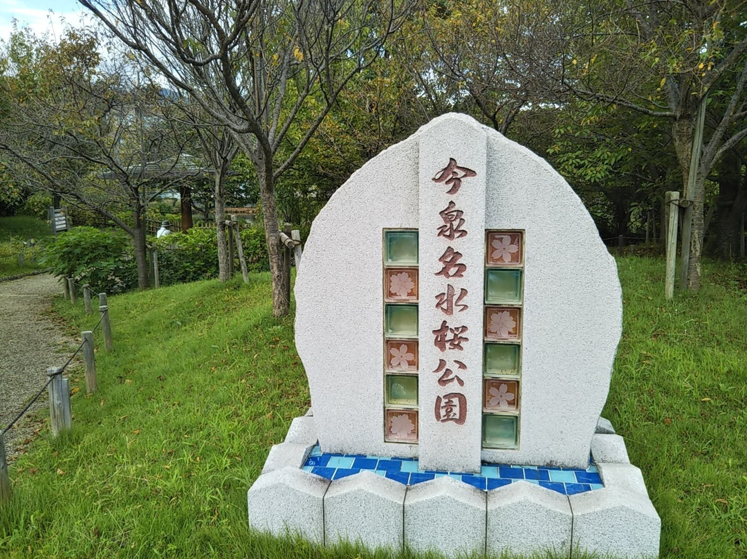 Imaizumi Meisui Sakura Park-秦野市必去景点