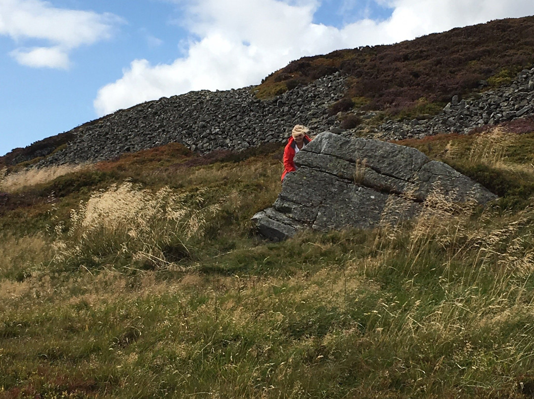 Rhynie旅游攻略图片