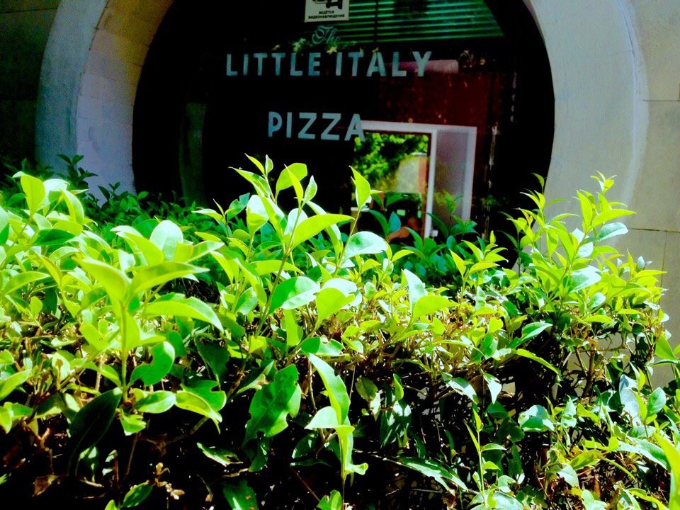 Gaspra餐馆和美食-the Little Italy
