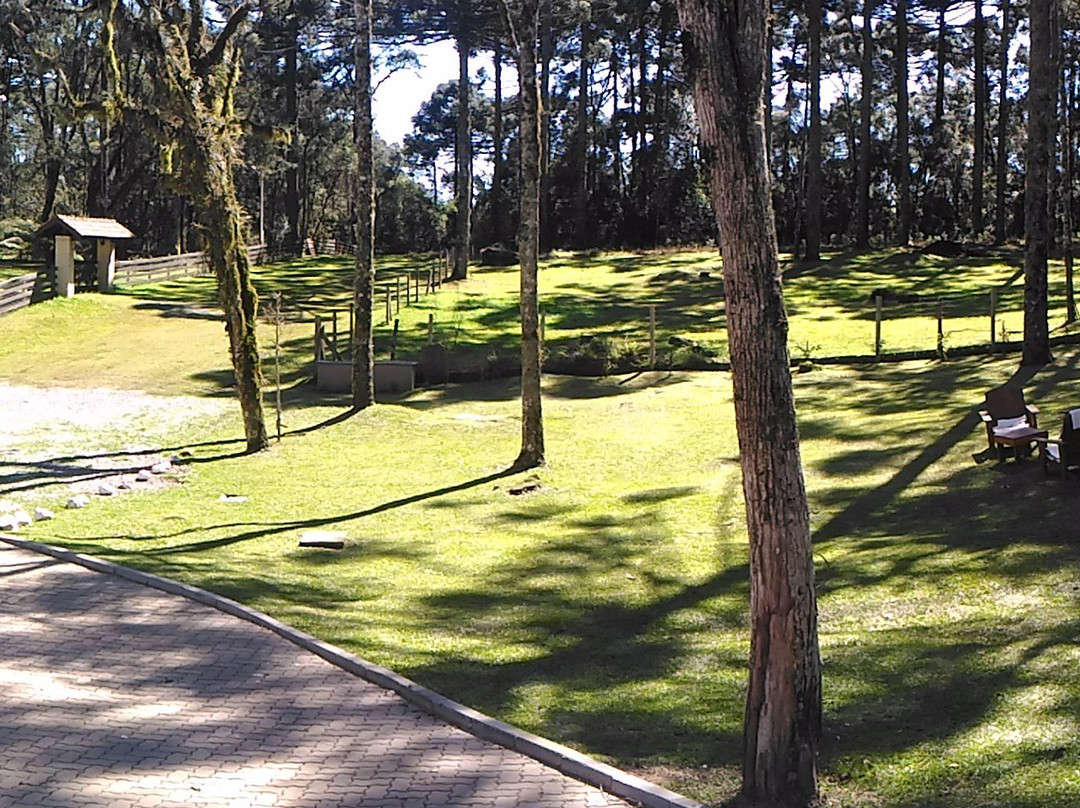 Pousada Golden Hills Canela主图