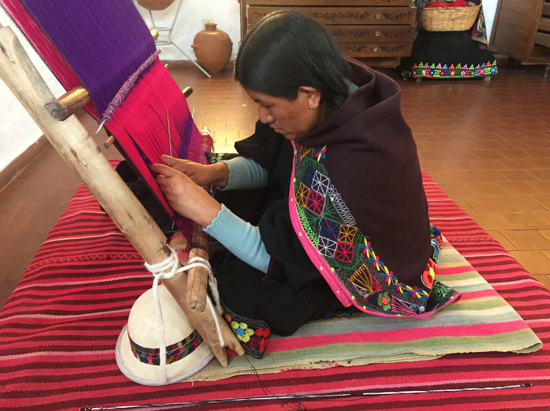 Museum of Indigenous Art ASUR-苏克雷必去景点