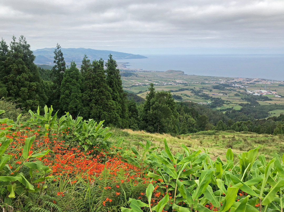 Miradouro da Bela Vista景点图片