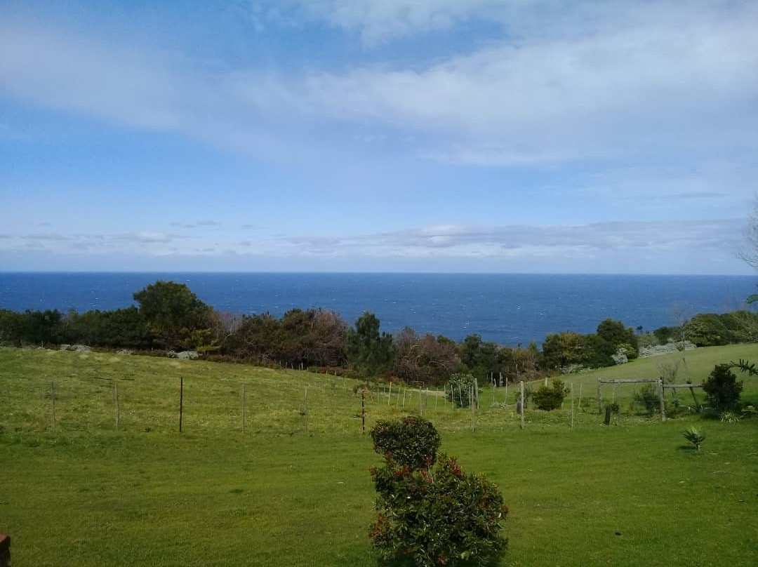 Dolphin View Chalets主图