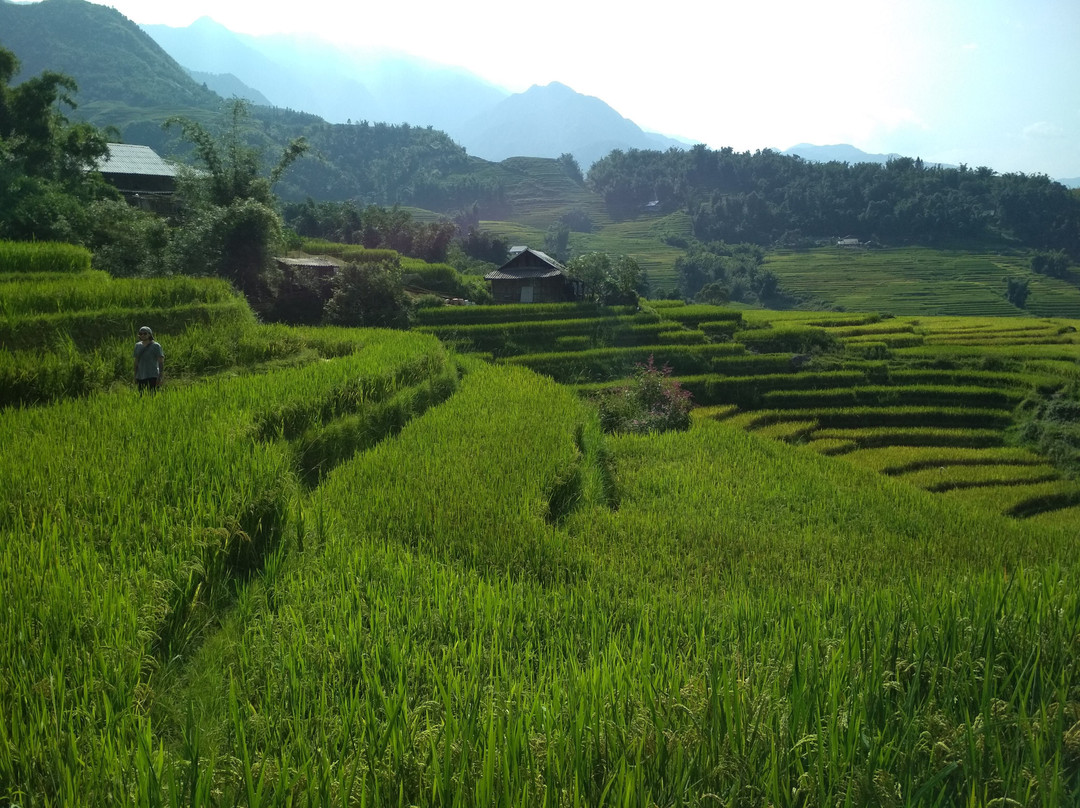 Tavan Hostel Trekking景点图片