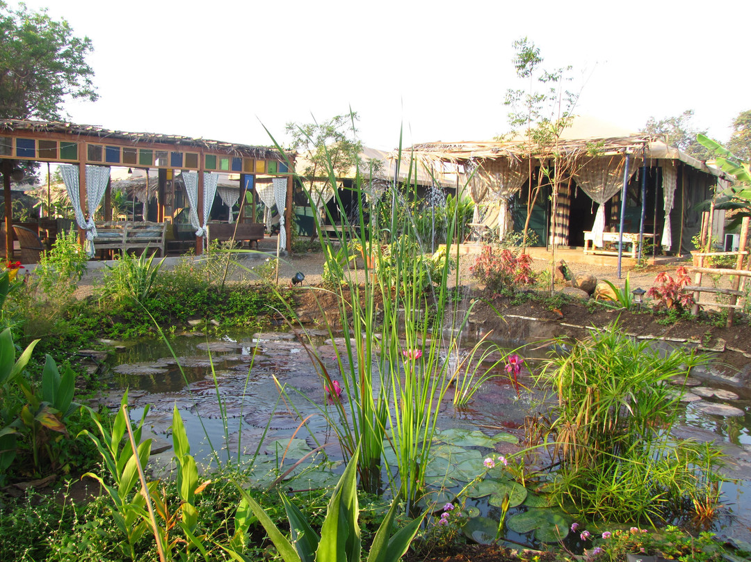 Bohemyan Blue Stay主图