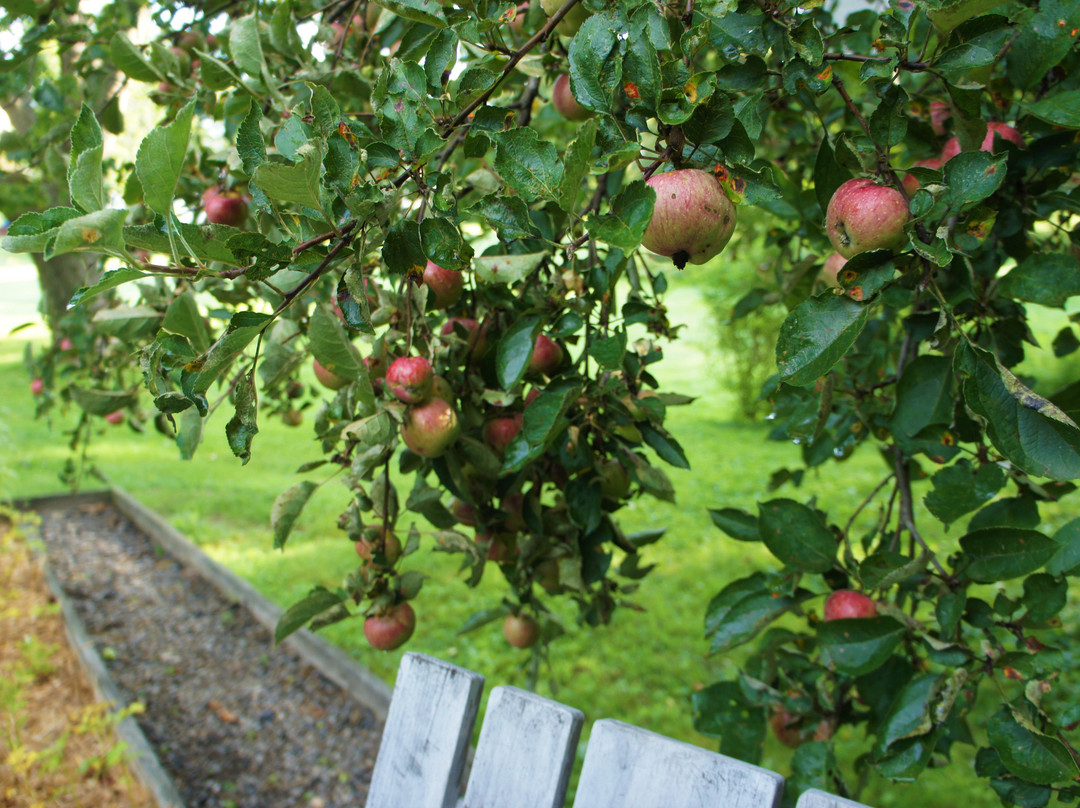 The Elm City Carriage Barn Bed & Breakfast主图