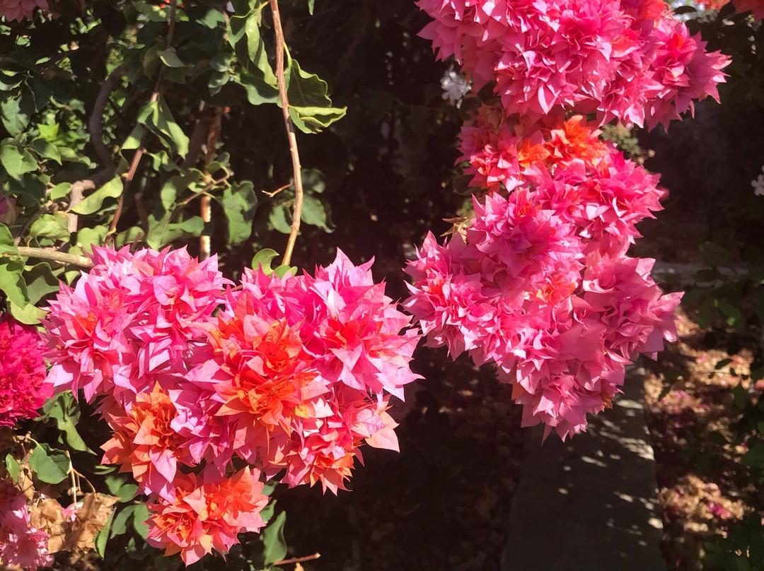 Hotel Angelika主图