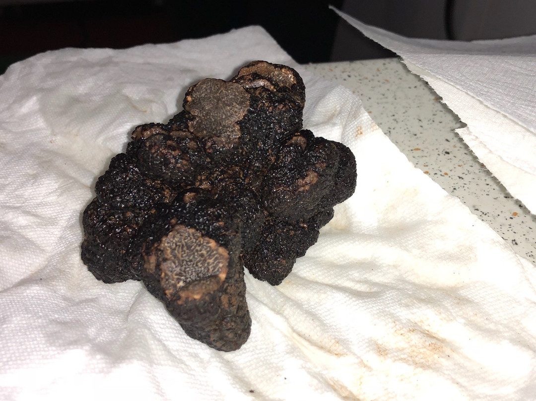 Macenmist Black Truffles & Wines-Bredbo必去景点