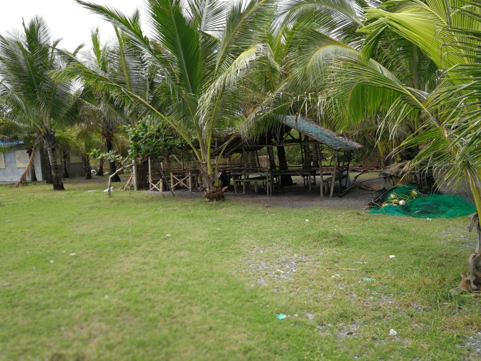 Navitas Beach-Numancia必去景点