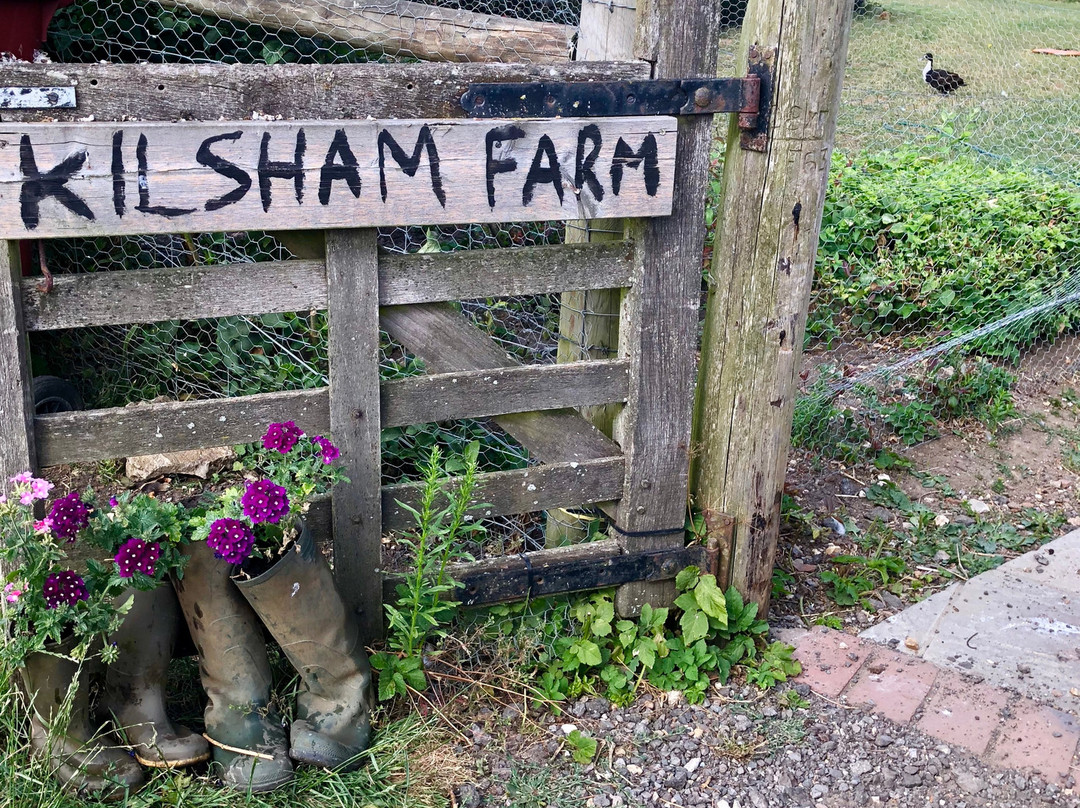 Kilsham Farm Bed & Breakfast主图
