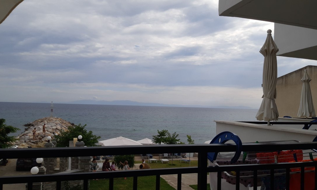 Pansion Alexandros主图