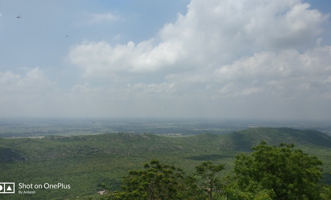 Griddhakuta Peak景点图片