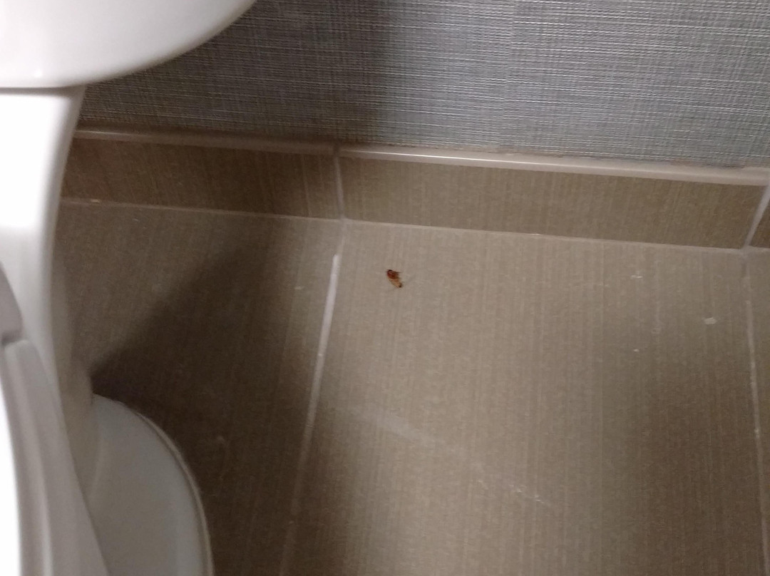 Hyatt Place Delano主图