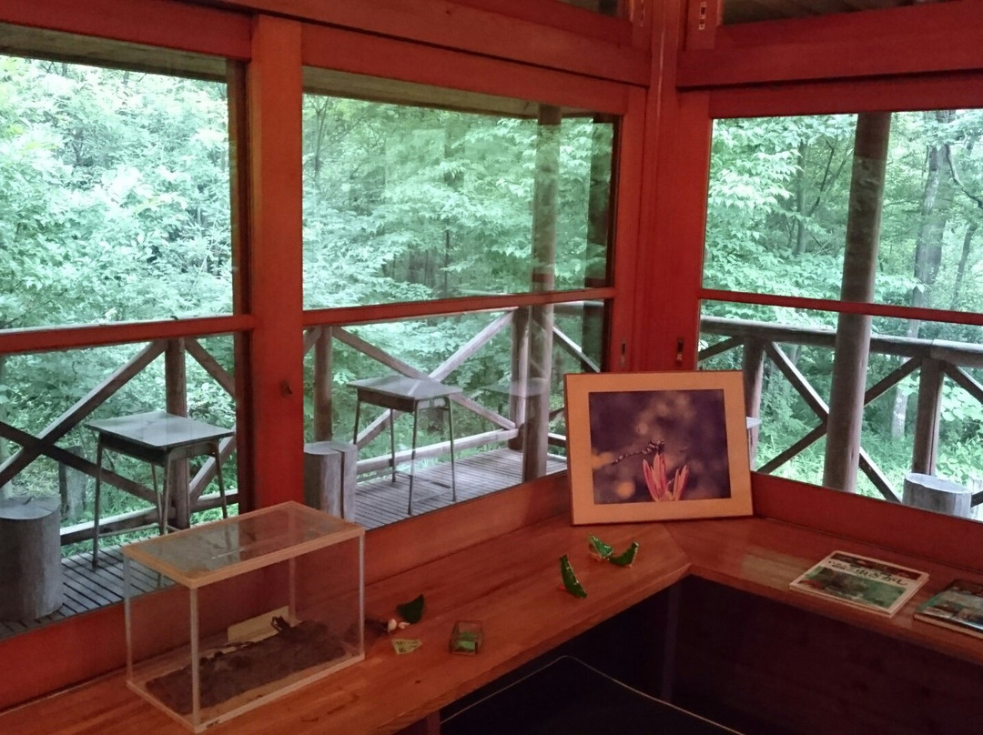 Village of Butterfly Park-岚山町必去景点