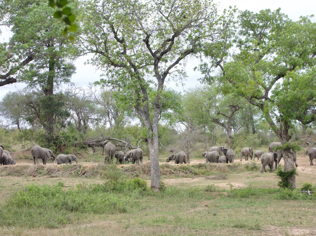 Notten's Bush Camp主图