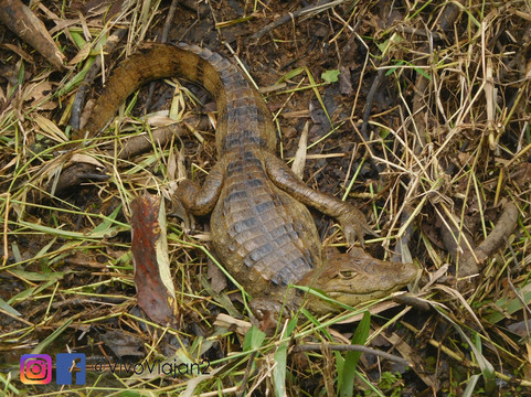 La Esquina Del Lago主图
