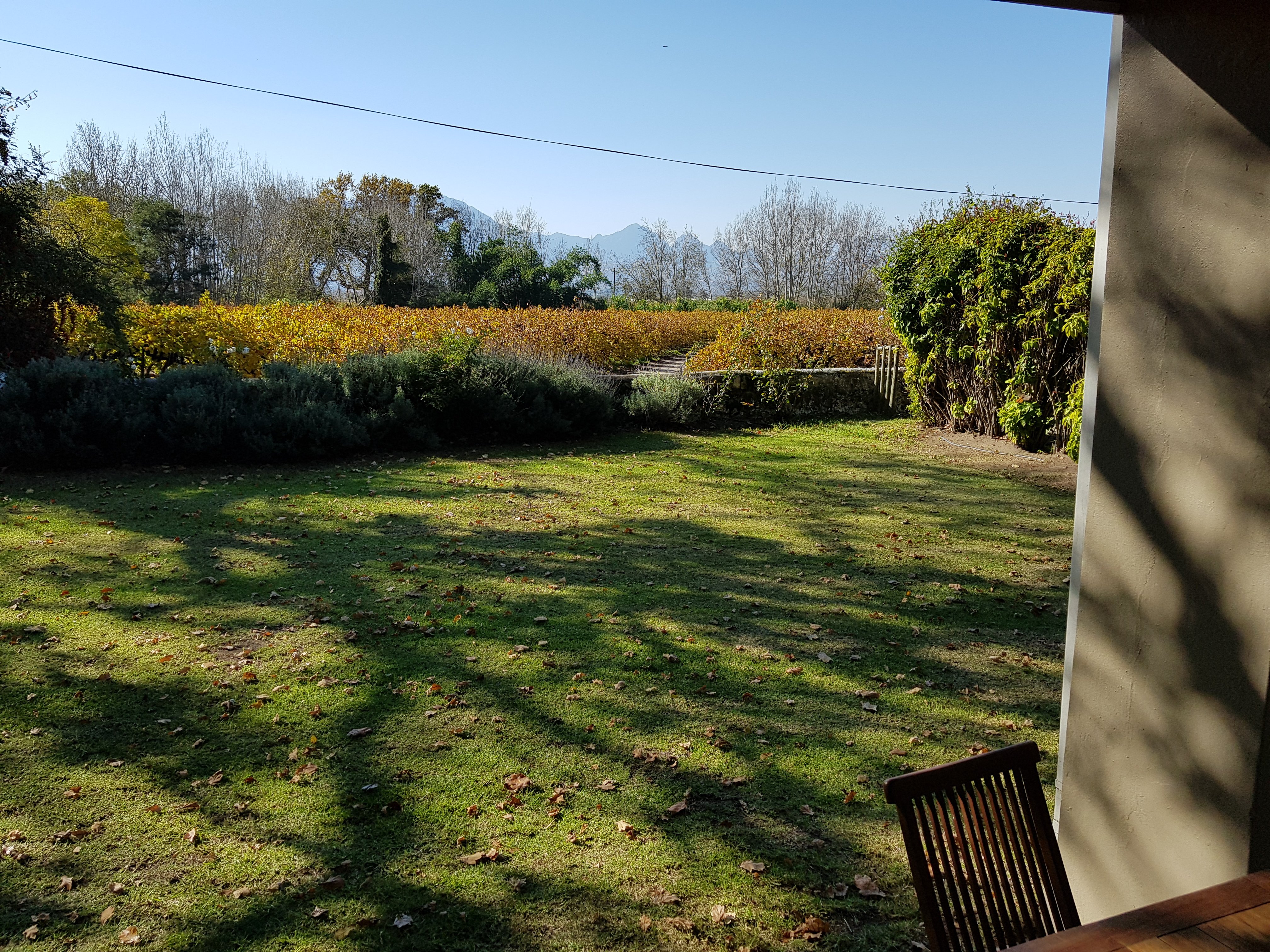 Die Eike Luxury farm Accommodation-酒店景观