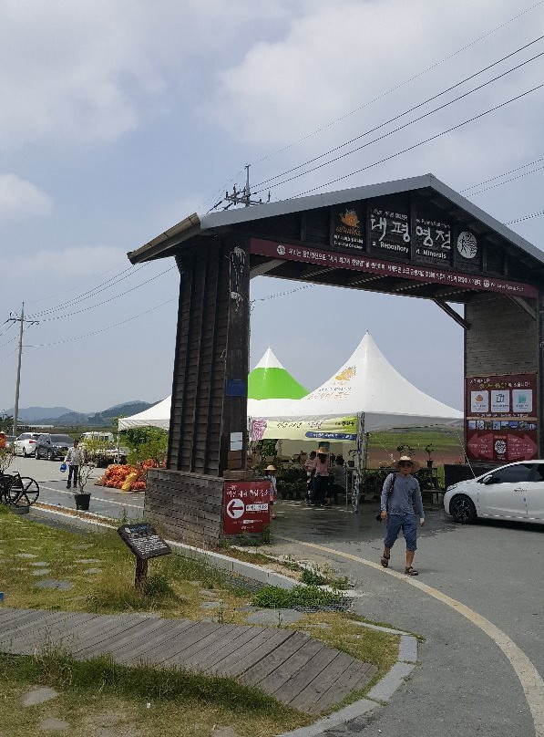 Taepyeong Salt Field-新安郡必去景点