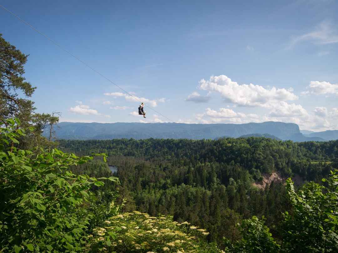 Zipline Dolinka景点图片