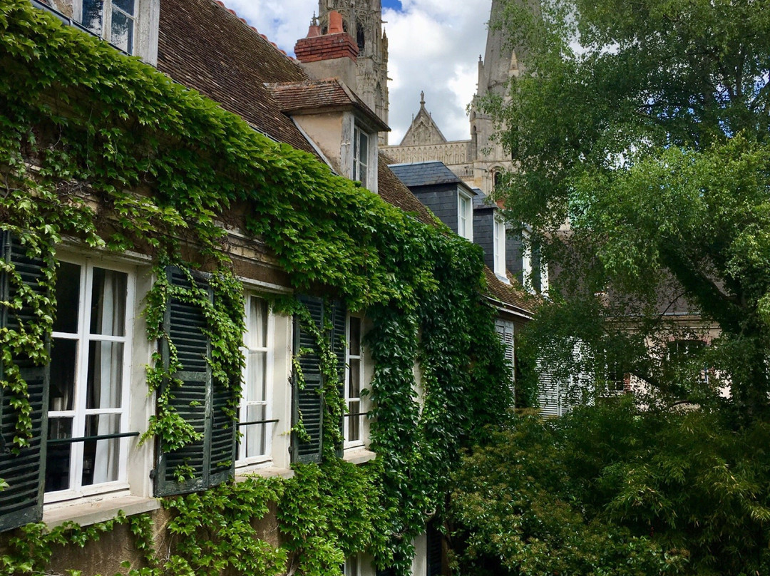 Le Jardin Cathédrale主图