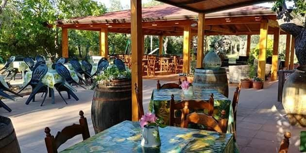 La Piana degli Ulivi主图