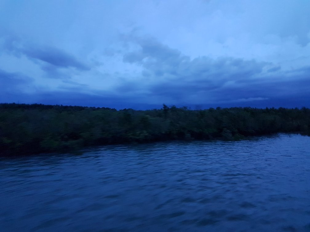 Sundarban Jungle Life景点图片