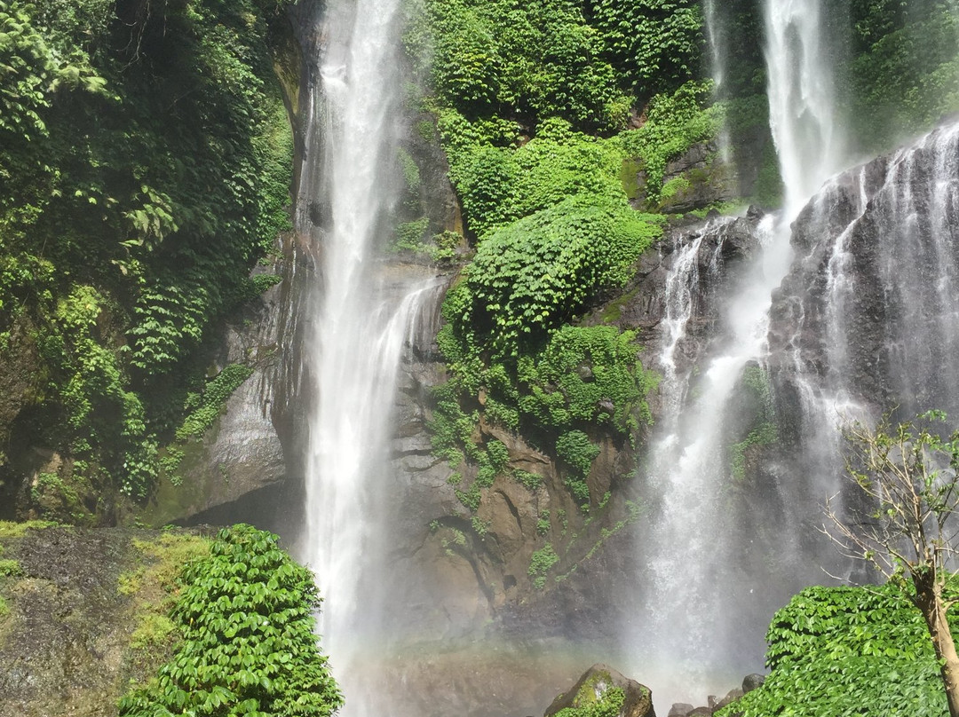 Sekumpul Waterfall Tour景点图片