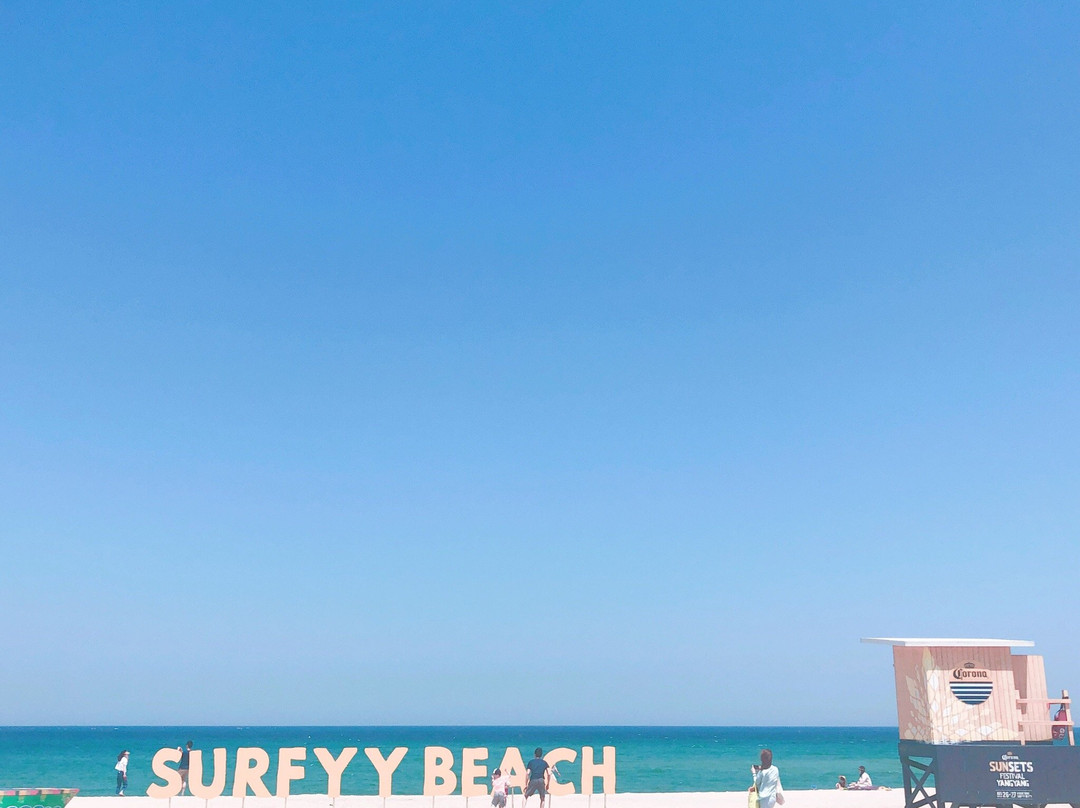 Surfyy Beach Camping