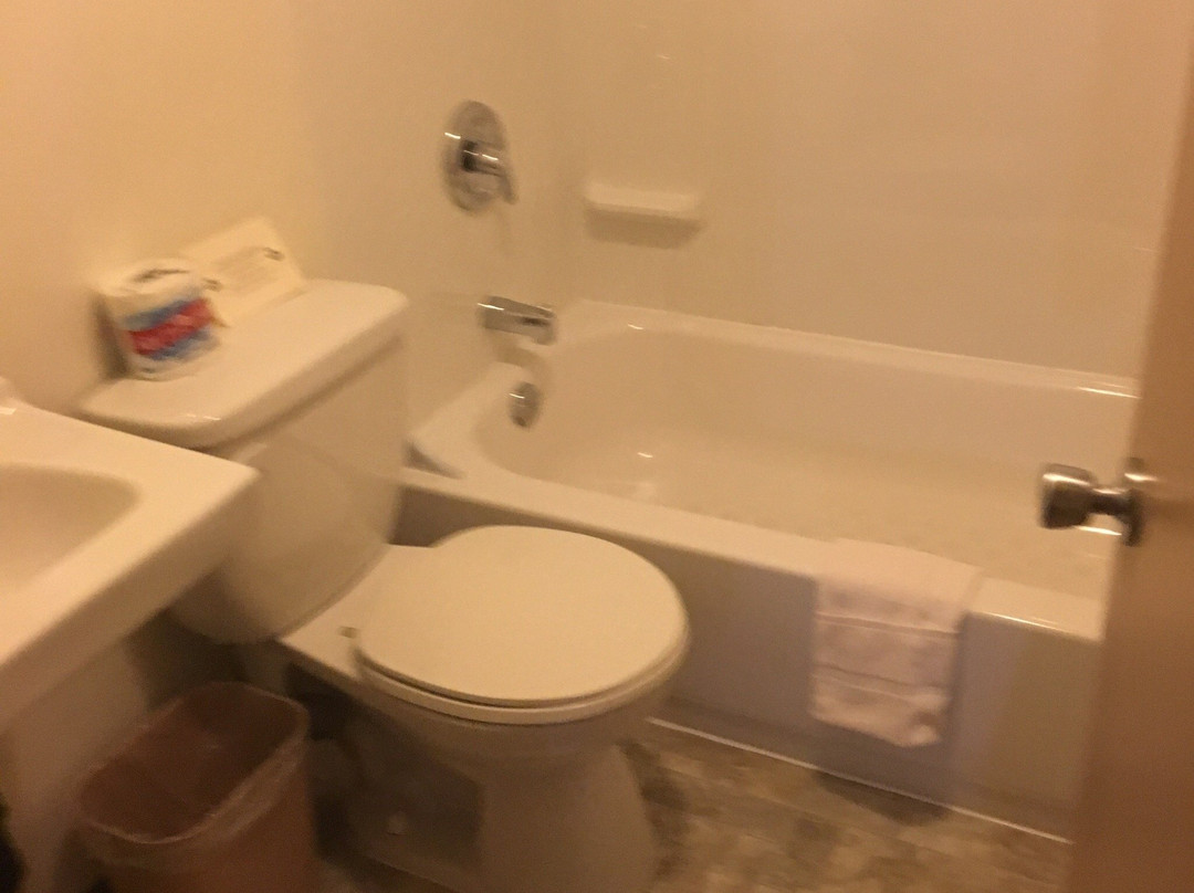 The Bulkley Valley Motel主图