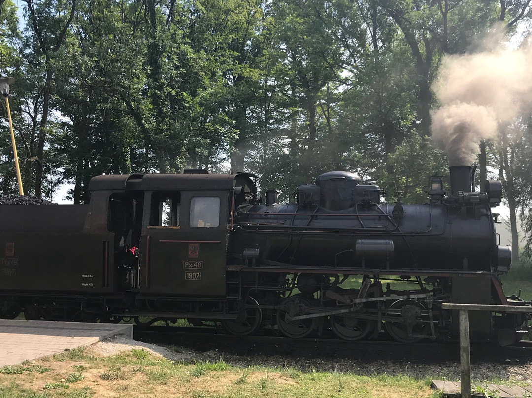 Narrow Gauge Railway of Krosnice景点图片