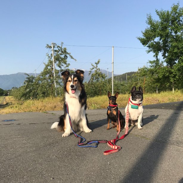 信州爱和之森酒店-官方