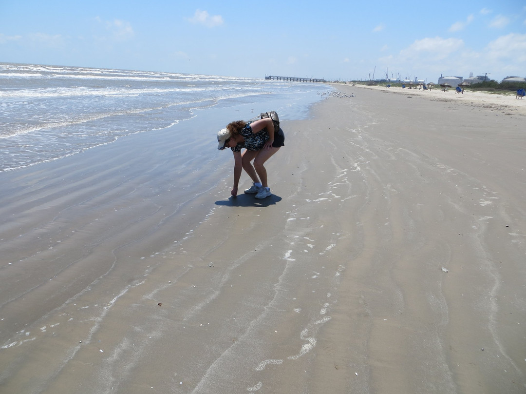 Quintana Beach-Quintana必去景点