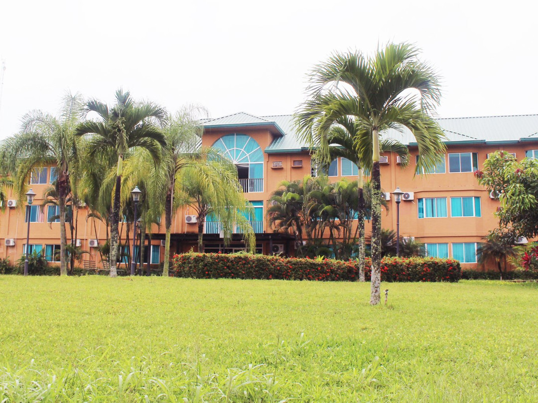 Hotel Palmar del sol主图