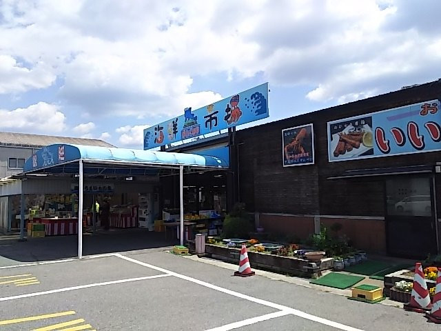 Gamagori Kaisen Ichiba-蒲郡港必去景点