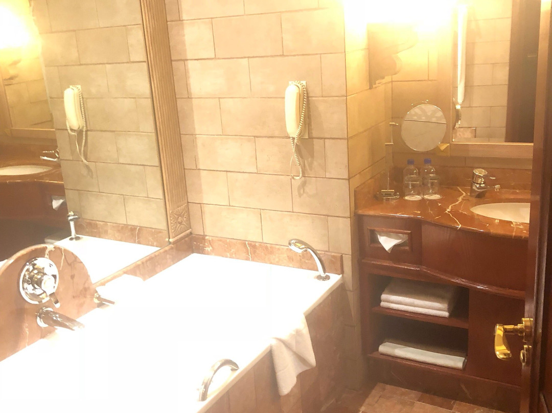 The Michelangelo Spa & Gym-约翰内斯堡必去景点