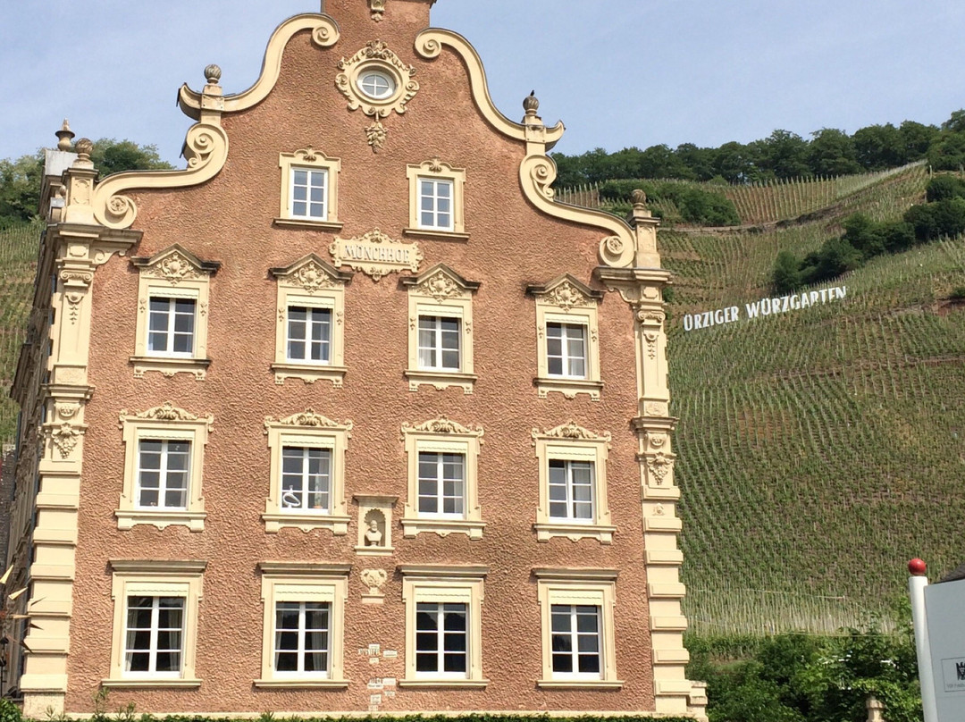 Weingut Monchhof主图