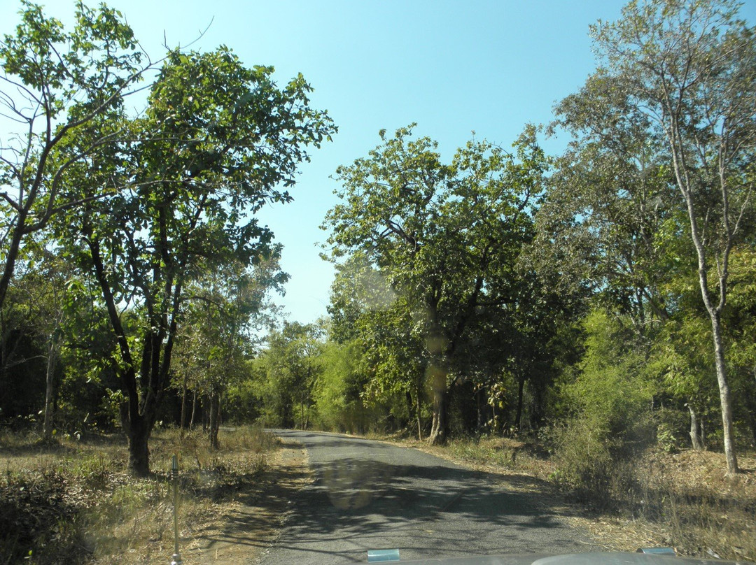 Koka Wildlife Sanctuary景点图片