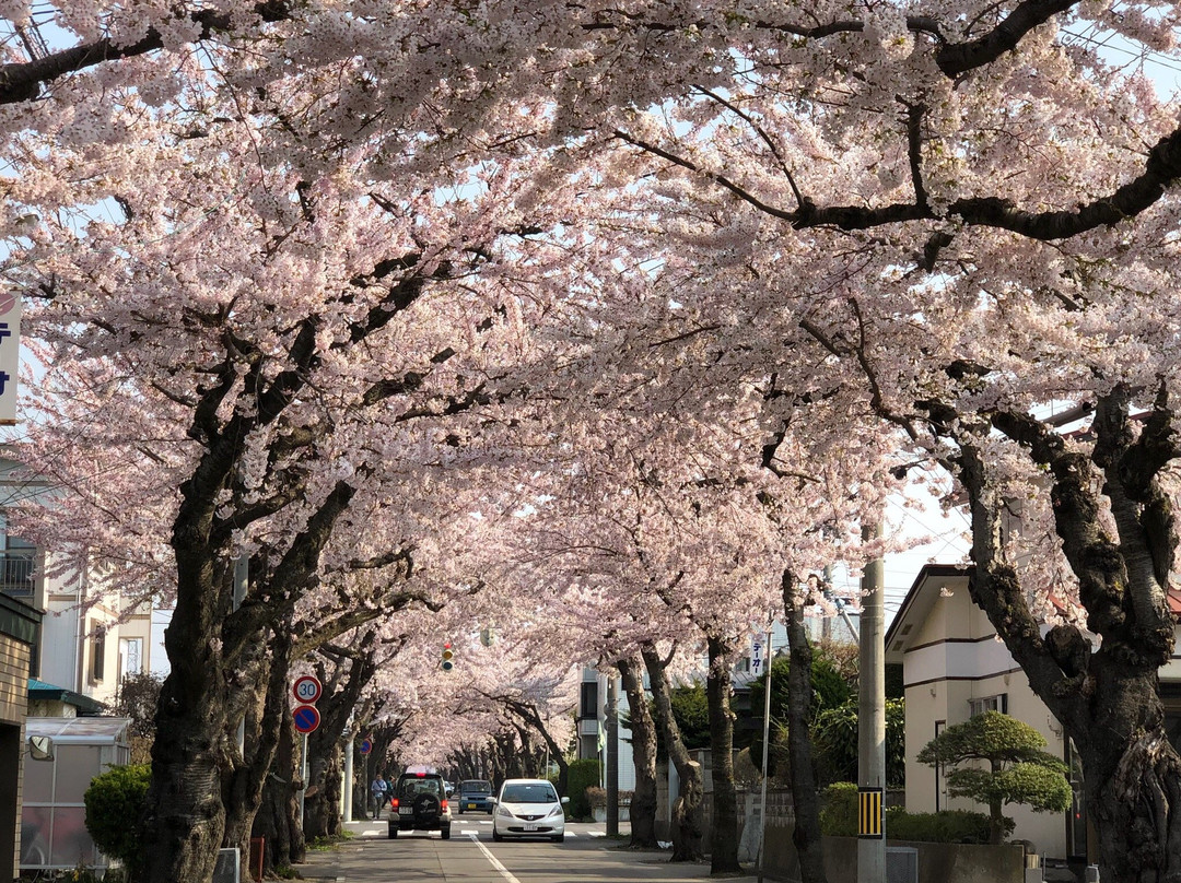 Sakuragaoka St.-函馆市必去景点