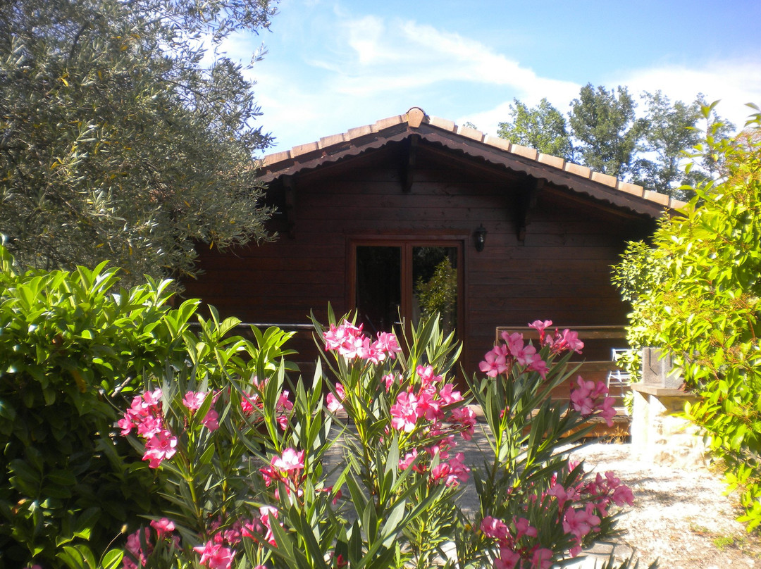 Les Gîtes de l'Oliveraie