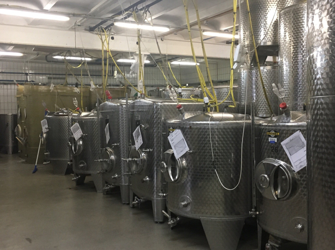 Historical wine cellar Sankt Aldegund-Sankt Aldegund必去景点