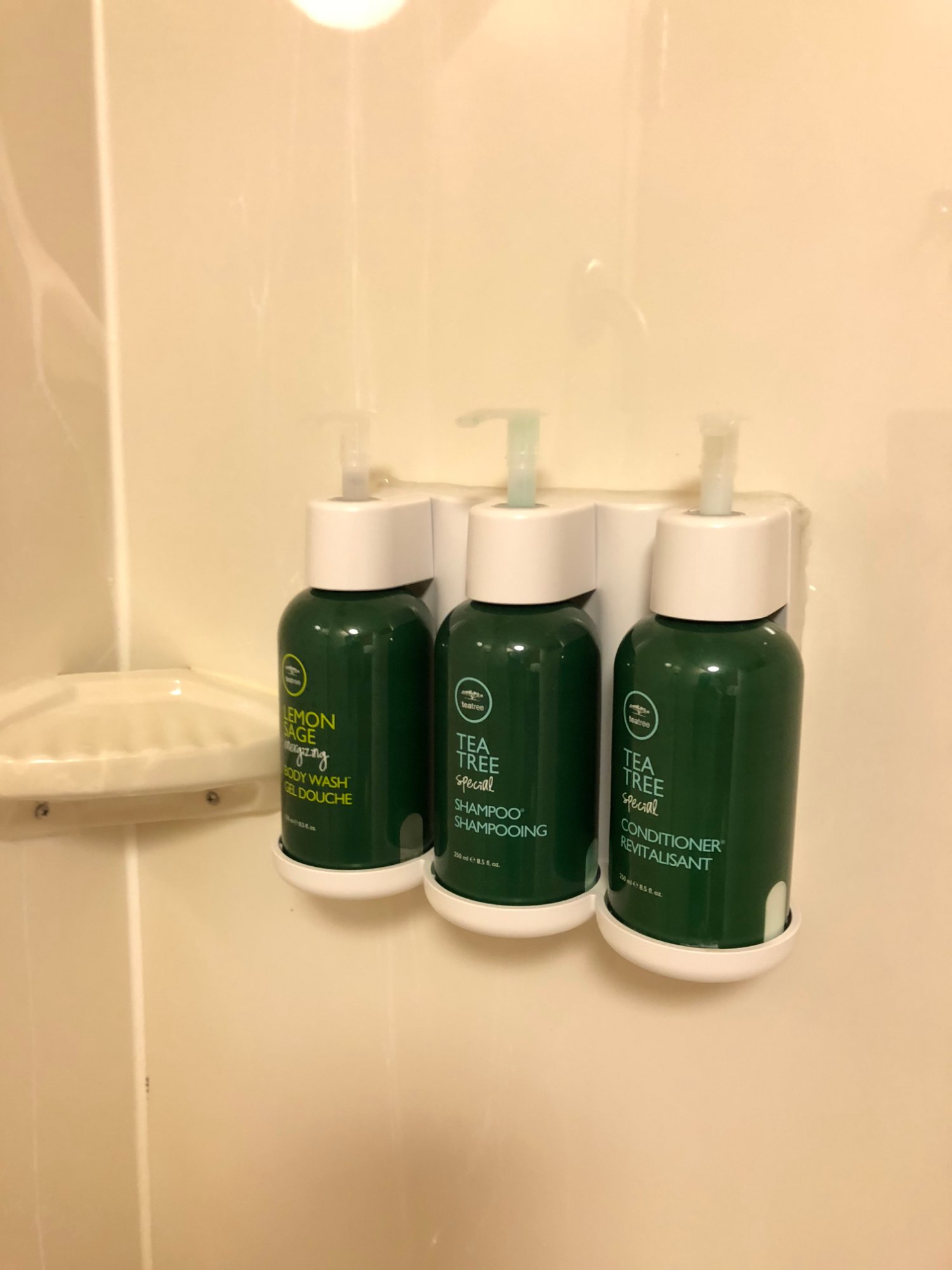 Sonesta Select Detroit Novi-浴室