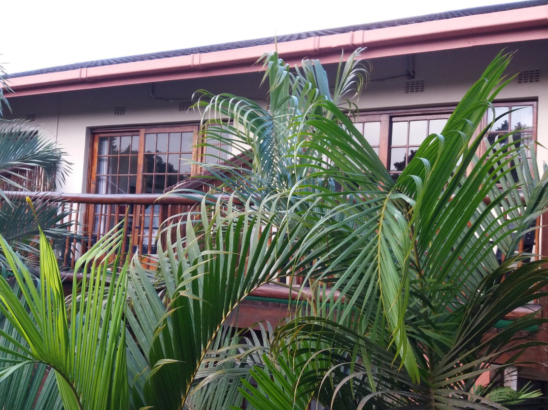 Elephant Coast Guest House主图