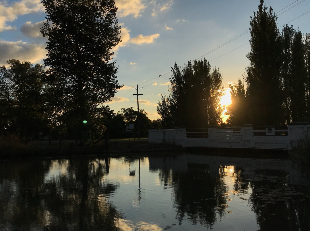 The Griff Motel主图